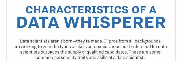 Data Whisperer – skills & traits needed
